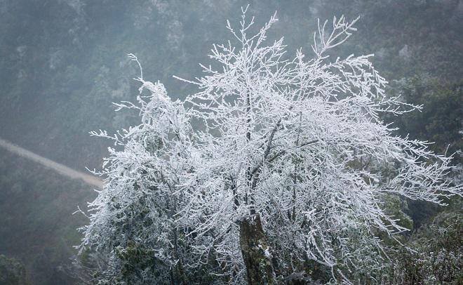 tin tuc 24h: con dau troi me chong ngoai hanh lang gay tranh cai, ly do thuc su la gi? - 2