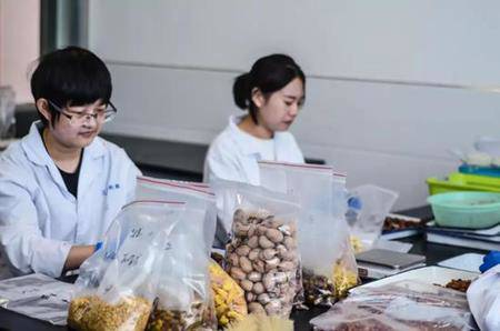 tin tuc 24h: su that dang so phia sau tieng hat ky la phat ra trong buc tuong - 3