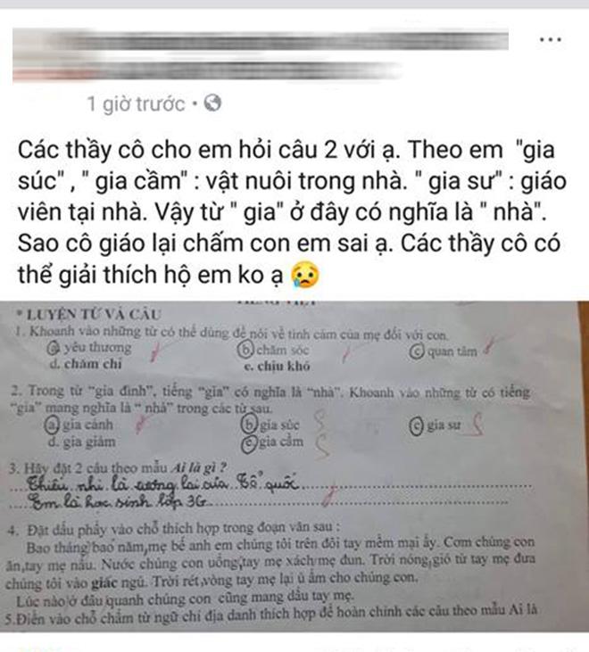 bai tap tieng viet lop 3 khien phu huynh hoang mang: tro sai hay co giao sai? - 1