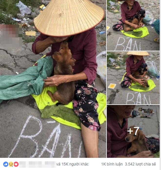 su that khong ai ngo ve cau chuyen ba lao ban "cau vang" lay tien chua benh xon xao mxh - 1