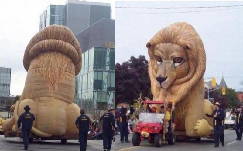 Bạn đã tưởng tượng đến điều gì khi nhìn bức ảnh bên trái? Đây chỉ là một chú sư tử thôi đấy nhé! 
