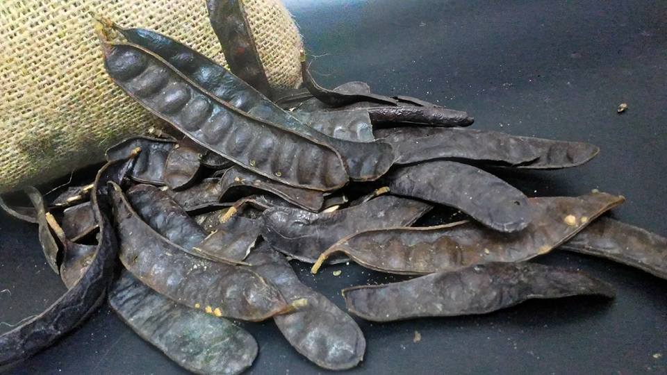 nam phuong hoang hau dep co nao ma tung khien vua bao dai phai giai tan ca hau cung? - 8