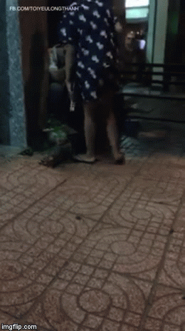 vo "xu" chong bang mu bao hiem, chui boi tham te: "tin tao danh may chet bay gio khong?" - 5