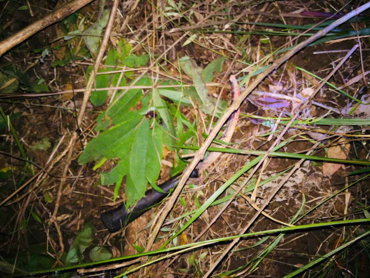 tin tuc 24h: choang vang voi hanh dong tho chan xuong oto cua co gai luc dung den do - 2