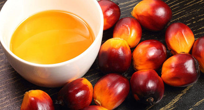 Vì sao tinh dầu cọ được ví là "thần dược” trị rạn da?