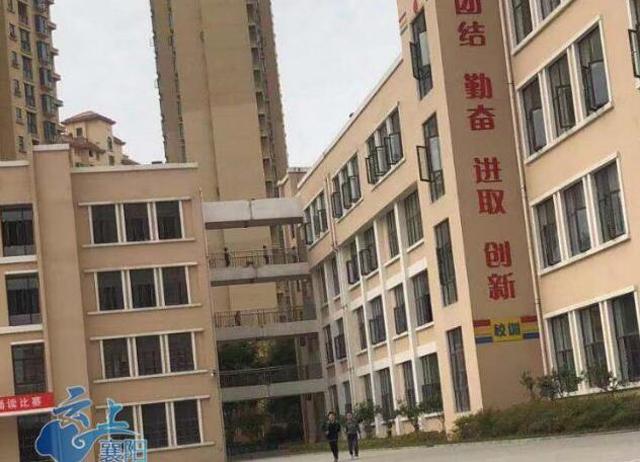 be trai bi troi vao cay truoc cong truong, danh tinh nguoi troi khien ai cung phan no - 2