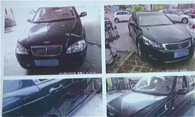 gia dinh bi 100 vu tai nan trong 6 nam nhung su that dang sau khien tat ca nga ngua - 1