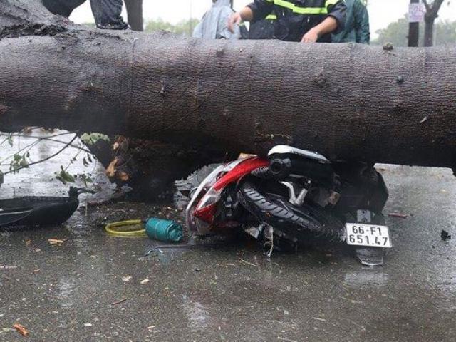 Sài Gòn mưa như trút nước, cây đổ đè chết người