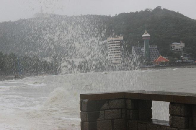 bao so 9 quan thao o vung tau "thoi bay" co thu 100 tuoi va cot dien - 5