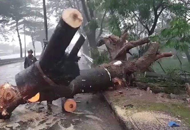 sai gon mua nhu trut nuoc, cay do de chet nguoi - 2