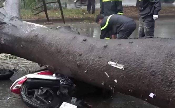 sai gon mua nhu trut nuoc, cay do de chet nguoi - 3