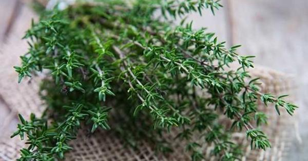 tu ky nu thanh hoang hau, trieu phi yen cang dien cuong lam dep den muc... vo sinh - 5