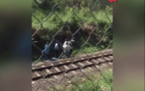 tin tuc 24h: vo sinh 3 con khong giong nhau, chong am tham dua di xet nghiem roi nin lang - 3