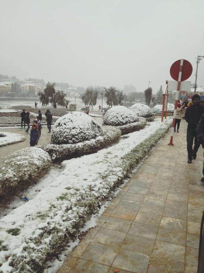 hinh anh sapa co tuyet chia se khap mang xa hoi va su that sau mot tam hinh - 6