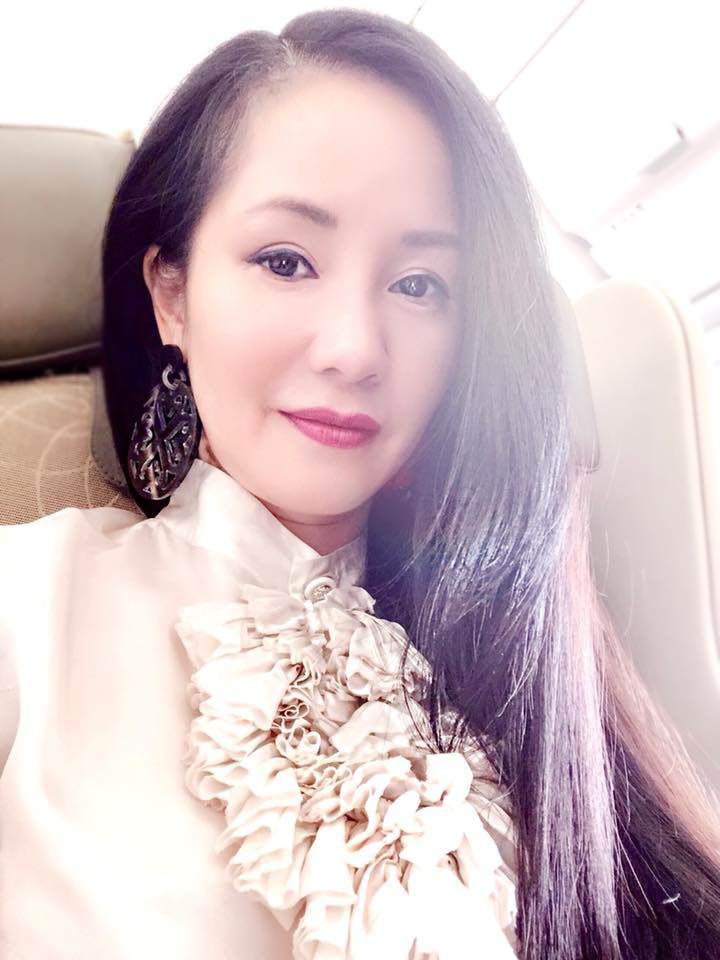 co that day la diva hong nhung, chuyen gi da xay ra voi nhan sac nguoi dep nay vay? - 19