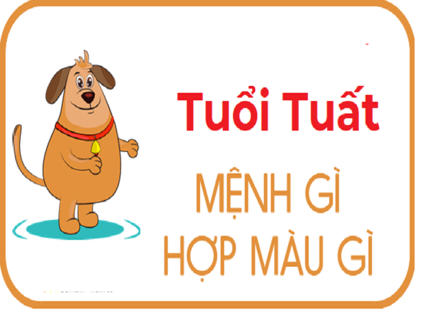 Tuổi Tuất Hợp Màu Gì? Chọn Đúng Những Màu Này Sẽ Giúp Người Tuổi Tuất Xóa  Bỏ Vận Xui