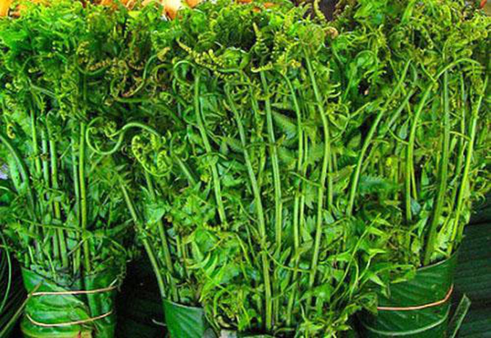 7 loại rau rừng tên lạ- đặc sản ăn là nghiện của đồng bào Tây Bắc