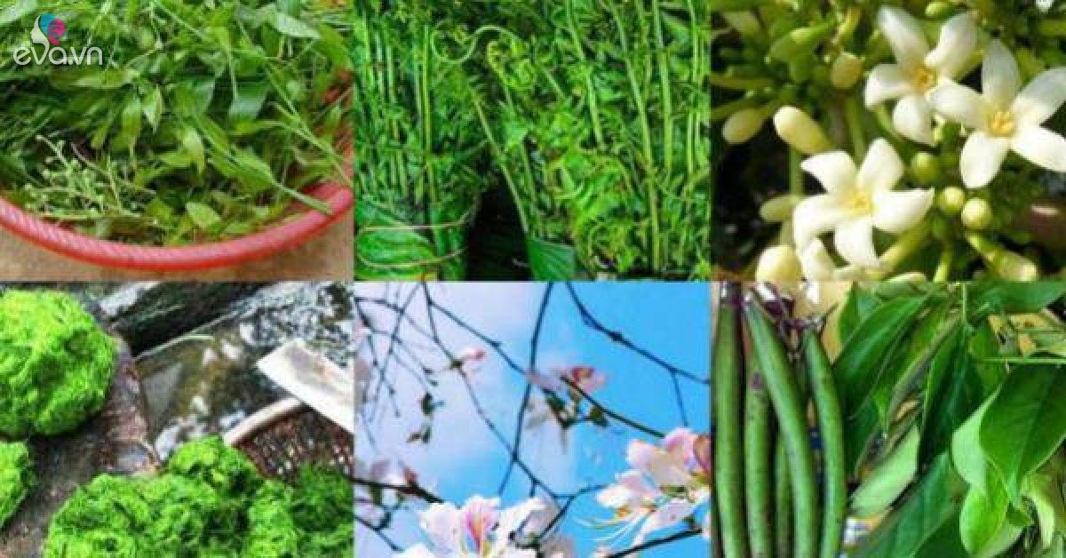 7 loại rau rừng tên lạ- đặc sản ăn là nghiện của đồng bào Tây Bắc