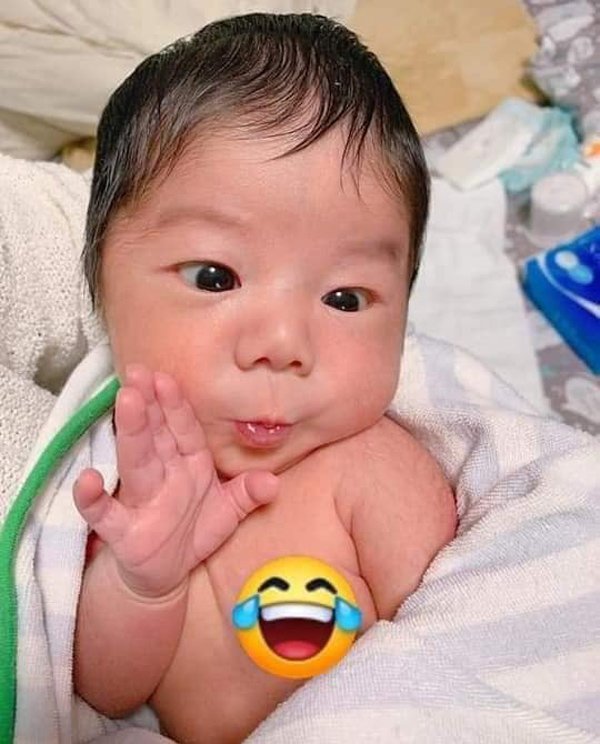 Tổng hợp 300+ ảnh hài hước bé sơ sinh mới nhất - Wikipedia