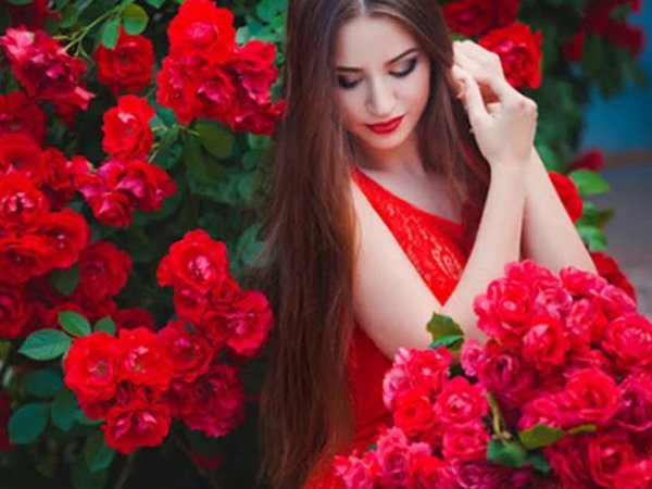Hoa Hồng Đỏ - Ý Nghĩa Của Tình Yêu Sâu Đậm Thủy Chung
