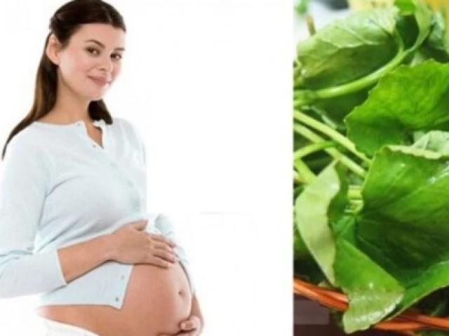Bà bầu ăn rau má được không và nên ăn bao nhiêu thì tốt?