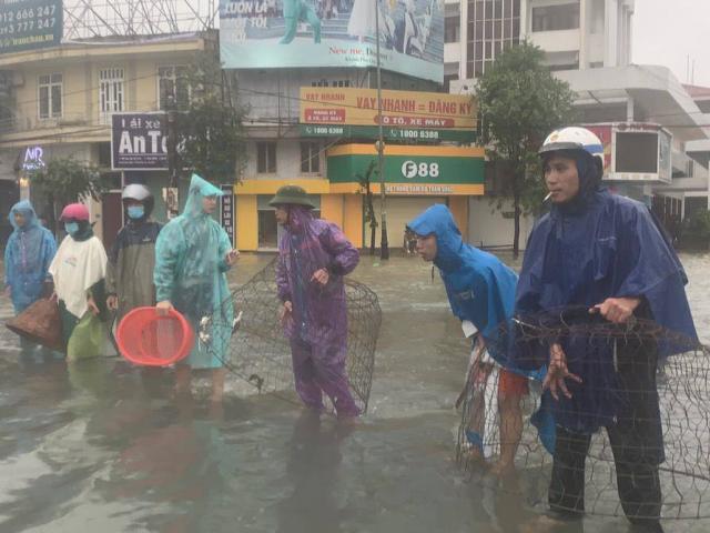Lạc quan trong mưa lũ: Người dân Hà Tĩnh đổ xô ra đường bắt cá