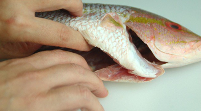 Dù thích đến mấy, những bộ phận này của cá tuyệt đối đừng ăn, dễ có ngày rước họa - 4