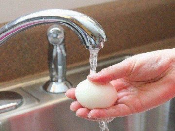 Thói quen rửa trứng gà rồi cất tủ lạnh vô tình làm cả nhà bị ngộ độc nặng