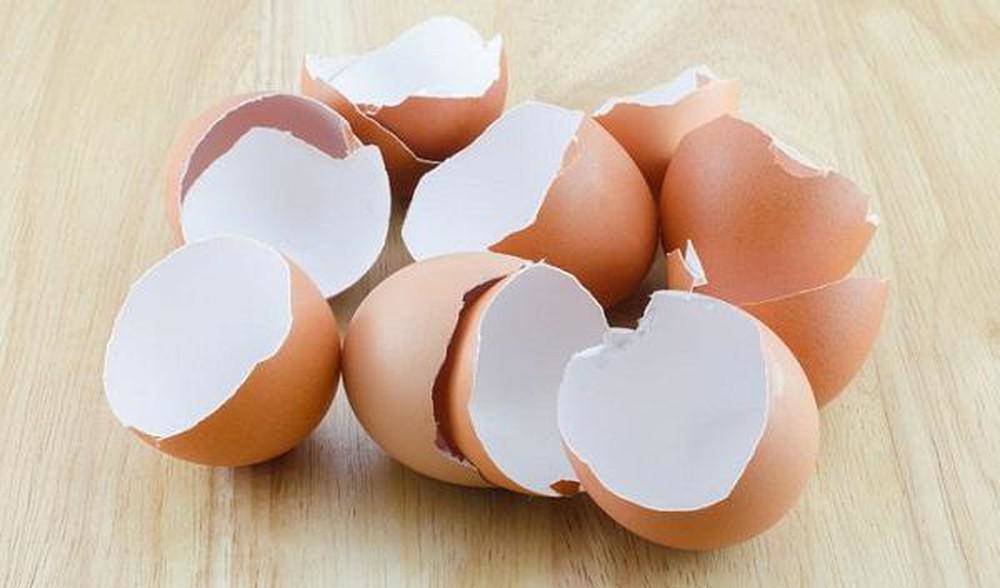 Thói quen rửa trứng gà rồi cất tủ lạnh vô tình khiến cả nhà bị ngộ độc nặng - 1
