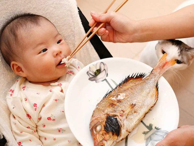 Trẻ ăn cá 1 lần/tuần thông minh hơn: Những loại cá giúp con tăng IQ vùn vụt