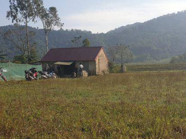 Vụ bố chồng đánh con dâu đang mang bầu và 2 cháu nhập viện: Người thân, hàng xóm nói gì?