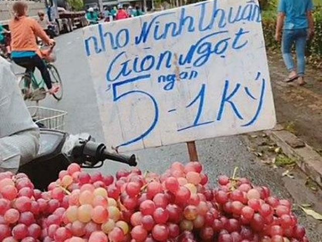 Màn gây lú đỉnh cao của hoa quả vỉa hè: 5.000 đồng/kg nho Ninh Thuận và sự thật bất ngờ