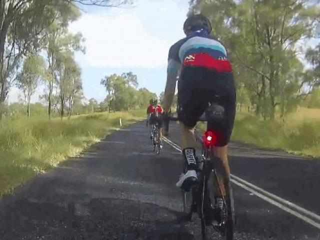 Kangaroo bay lên không, đá văng người phụ nữ đi xe đạp