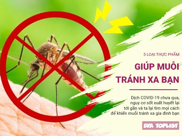 Phòng dịch sốt xuất huyết: 5 loại thực phẩm khiến muỗi tránh xa, bạn nên nấu cho cả nhà