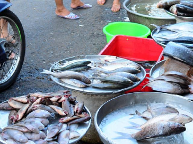 5 loại cá bẩn nhất chợ, dù được giảm giá sâu đến mấy chị em cũng nên tránh xa