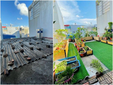 Mẹ Hải Phòng chi 30 triệu biến mái nhà xấu xí thành khu vườn xanh rì, cả nhà mê