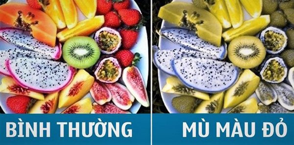 3 khuyết điểm của cha dễ để lại cho con gái và 3 bệnh con trai dễ bị di truyền - 3