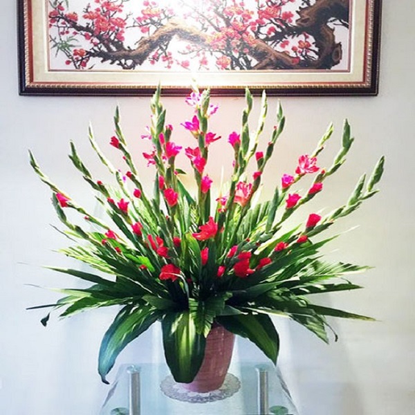 Hoa Lay Ơn (hoa Dơn): Ý nghĩa, cách chọn và cắm hoa đẹp - 4