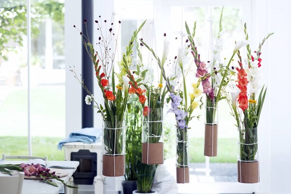 Hoa Lay Ơn (hoa Dơn): Ý nghĩa, cách chọn và cắm hoa đẹp - 5