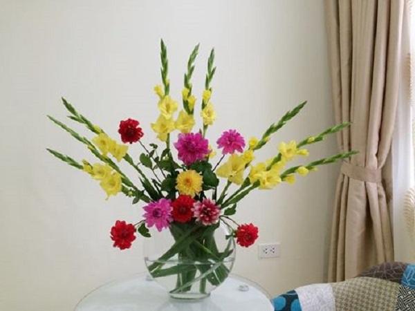 Hoa Lay Ơn (hoa Dơn): Ý nghĩa, cách chọn và cắm hoa đẹp - 6