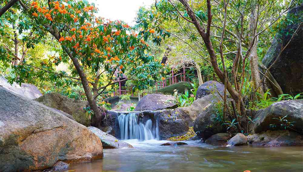Điểm danh những con suối đẹp như mơ tại Đà Nẵng không thể bỏ qua