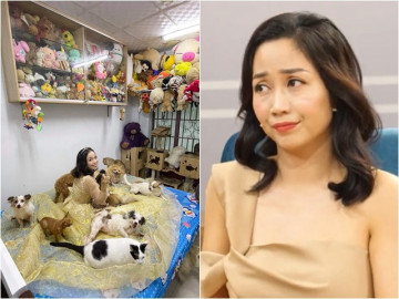 Ốc Thanh Vân sốc với cặp vợ chồng không sinh con, nuôi hơn 300 chó, mèo bị bỏ rơi