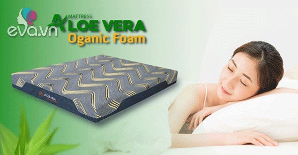 Read more about the article Nệm Foam Aloe Vera Organic