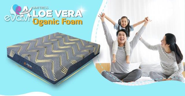 Read more about the article Mách nhỏ bí quyết gìn giữ hạnh phúc vợ chồng cùng nệm Foam Aloe Vera Organic