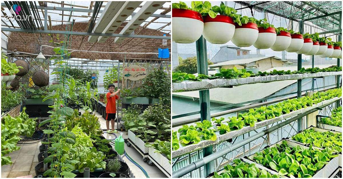 Read more about the article Bà chủ cửa hàng xe hơi có vườn sân thượng rộng 200m2, như trang trại ở giữa Đồng Nai