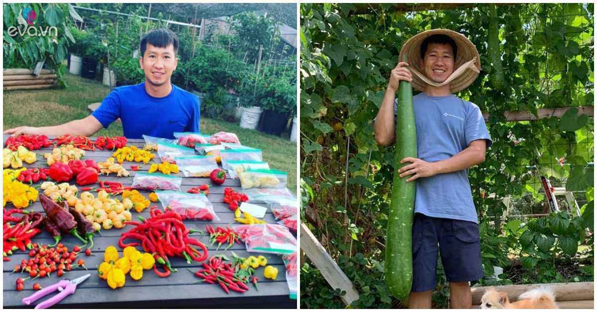 Read more about the article Chàng trai Việt sở hữu khu vườn 300m2 trên đất Mỹ, trồng 2000 loại ớt khác nhau
