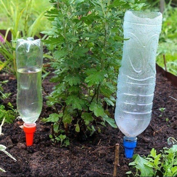 Đừng dùng nước máy tưới cho cây, thay bằng những loại nước này tốt hơn 10 lần - 3