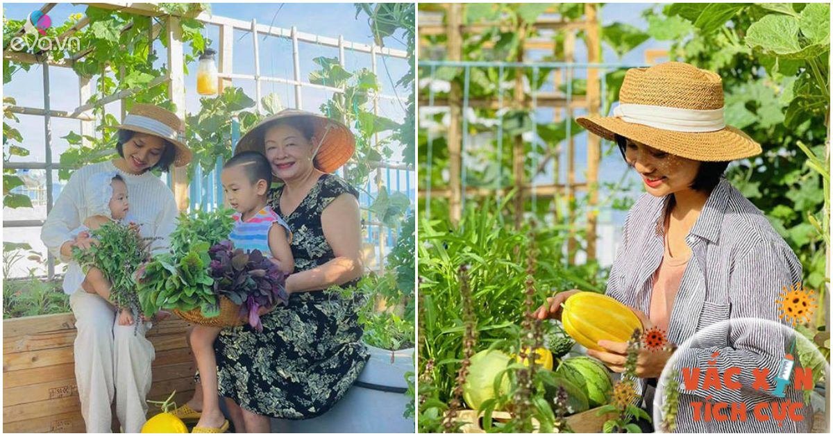 Read more about the article Nghỉ dịch, mẹ đảm Đà Nẵng làm vườn rau xanh trên mái tuyệt đẹp, cả nhà ăn mãi không hết