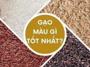 Sức khỏe - Gạo màu gì tốt cho sức khỏe? Nhiều người bình chọn gạo lứt nhưng tất cả đều đã nhầm