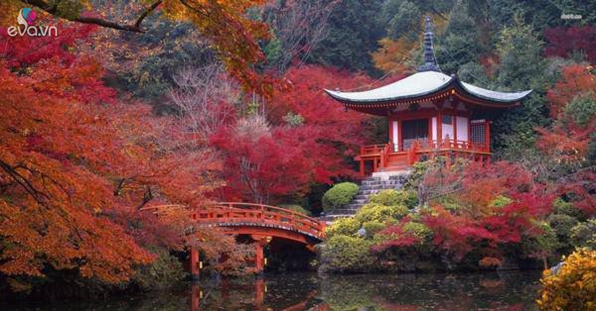 日本、東京に旅行する前に知っておくべきこと